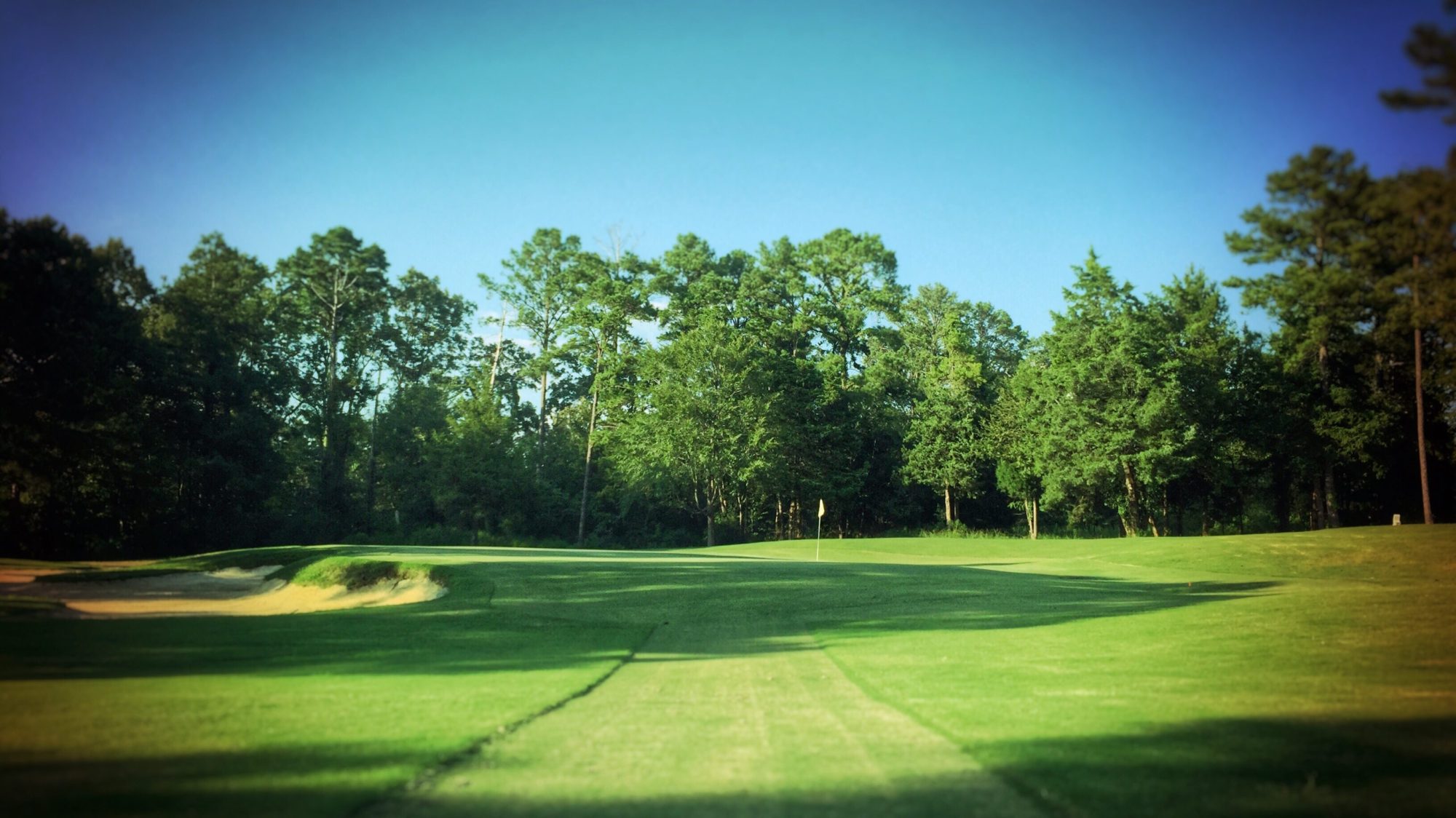 Course Castlewoods Country Club